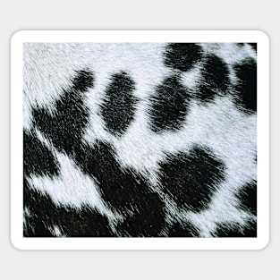 Animal faux fur Sticker